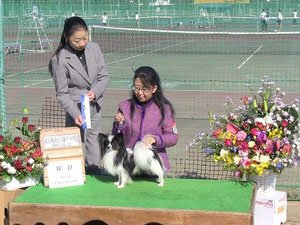 富田ブリーダーの画像
