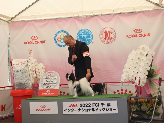 木村ブリーダーの画像